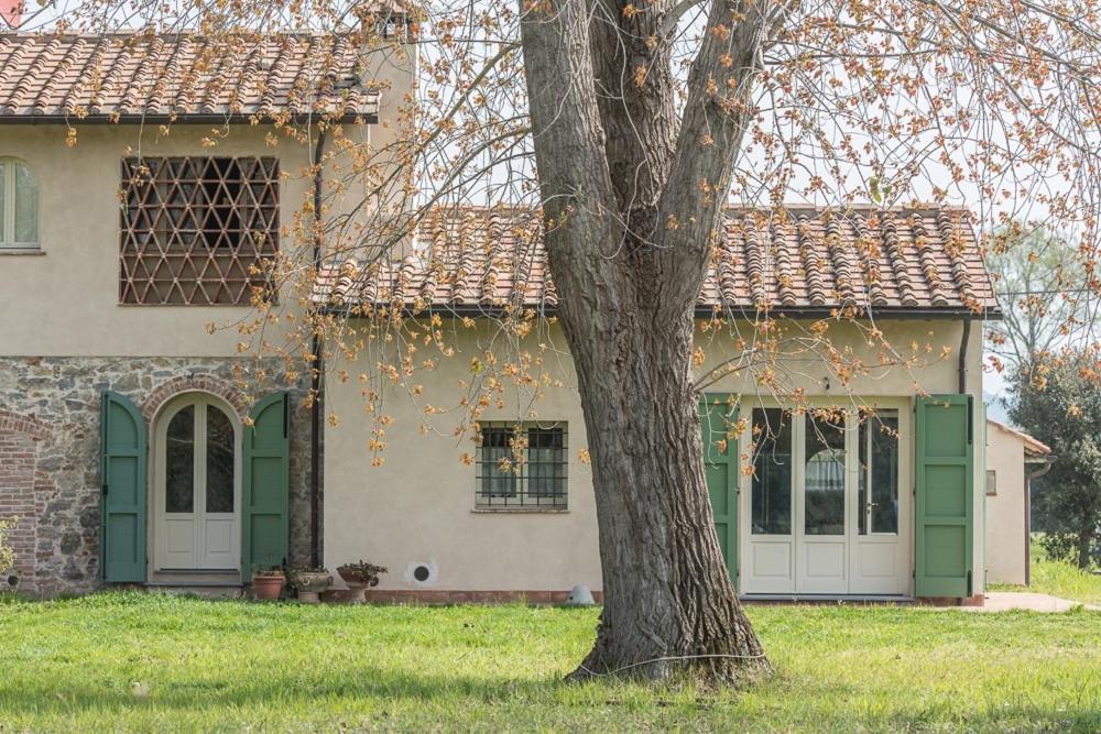 Relax verde e mare - B&B Viareggio