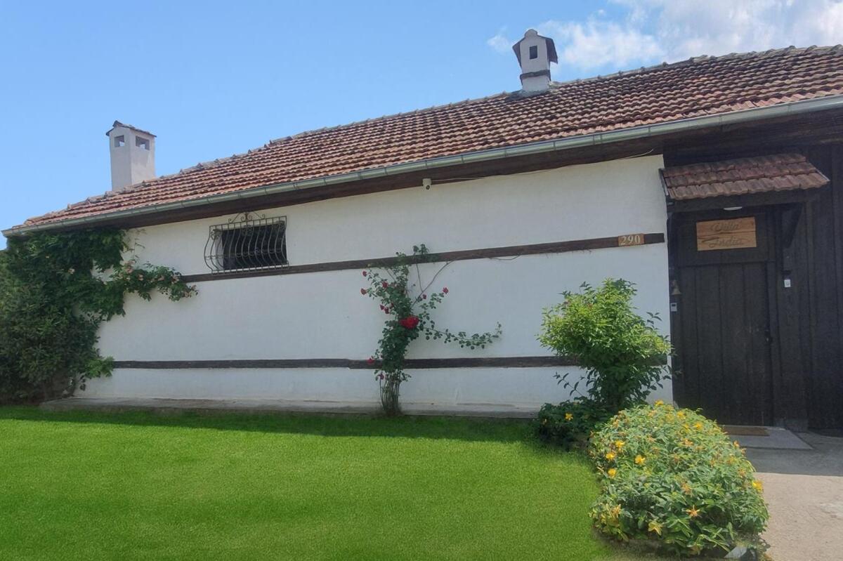 Guesthouse Villa India - Bibliothek - B&B