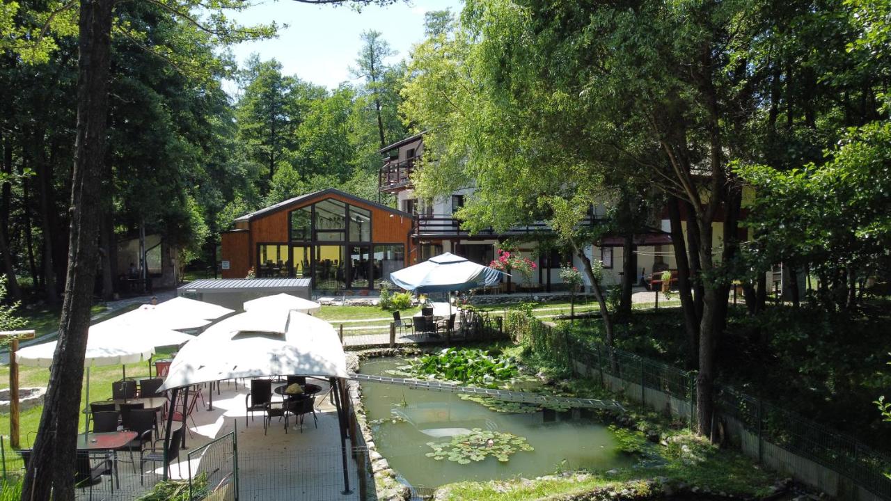 Moara Viselor - B&B Vaideeni