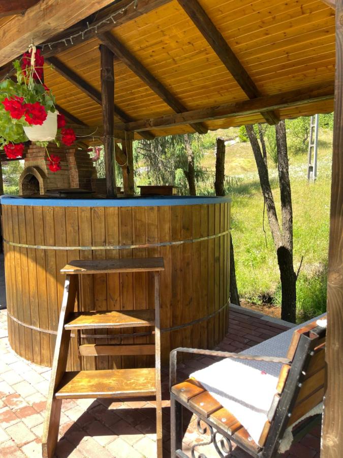 Pensiunea Delia - Bed and Breakfast Izlaz