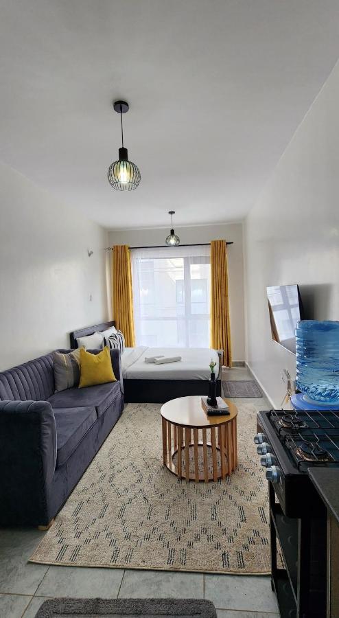 Bobo's Spacious Studio Apartment - B&B Ongata Rongai