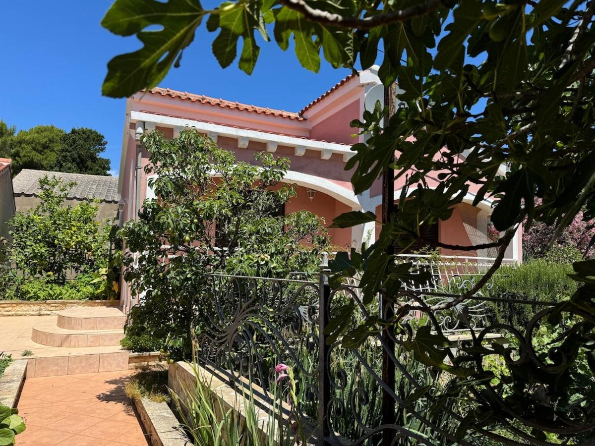 Summer house Mokka - B&B Silba