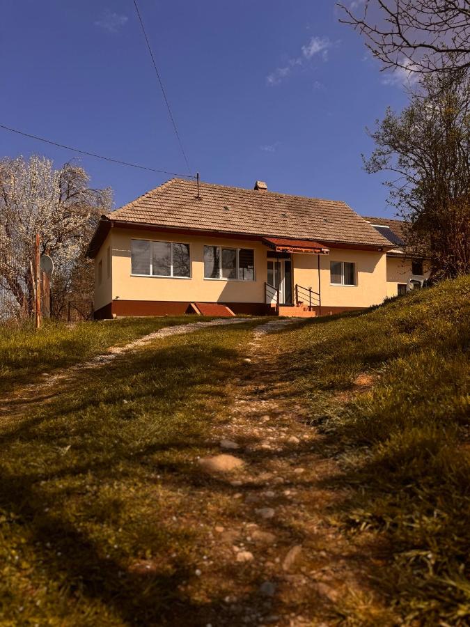 Casa Buzaiel,910 - B&B Buzăiel