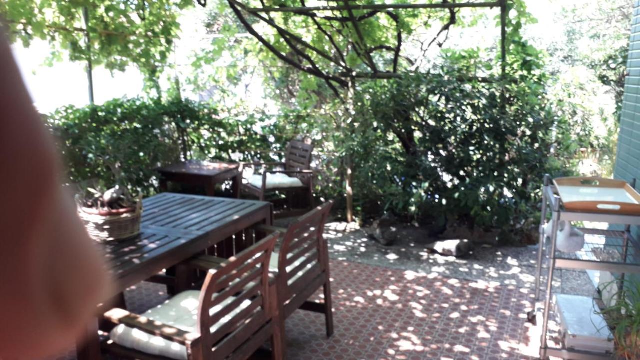 A garden on the bay - B&B Castiglioncello