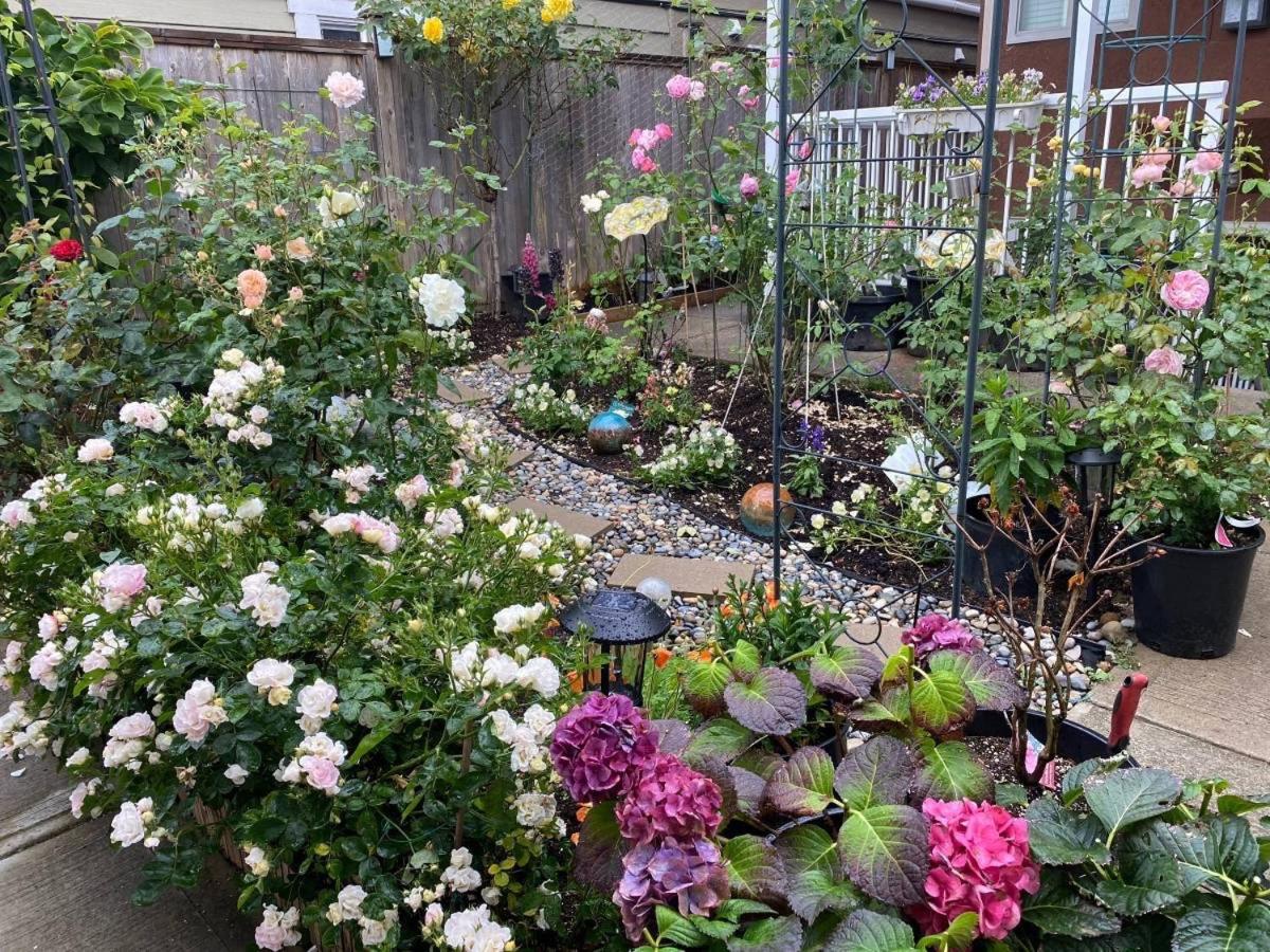 Bright 1-Bedroom Garden Suite, Sleeps 4, Near Downtown & YVR - B&B Vancouver