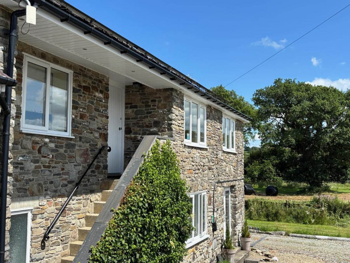 Maesyfelin Isaf Apartment - B&B