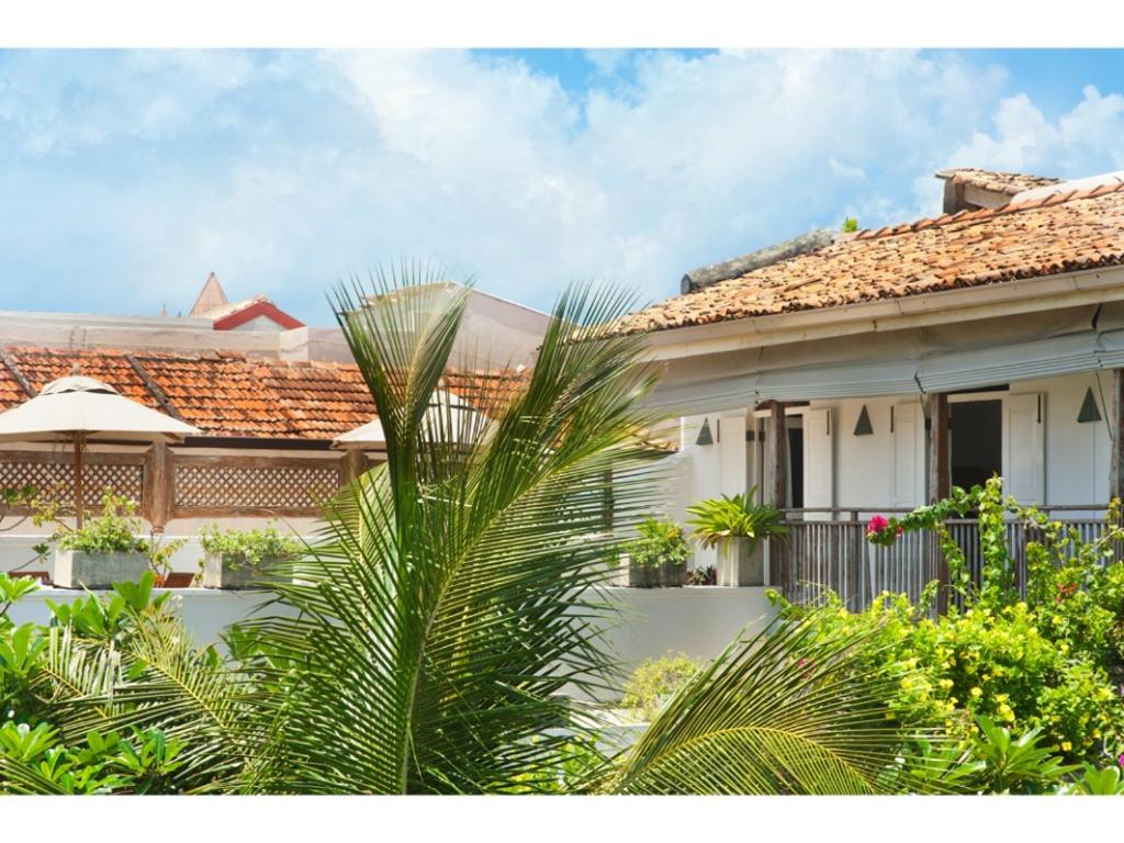Pool, Roof Terrace, 3 Bedroom Villa, Galle Fort - Bed and Breakfast Galle