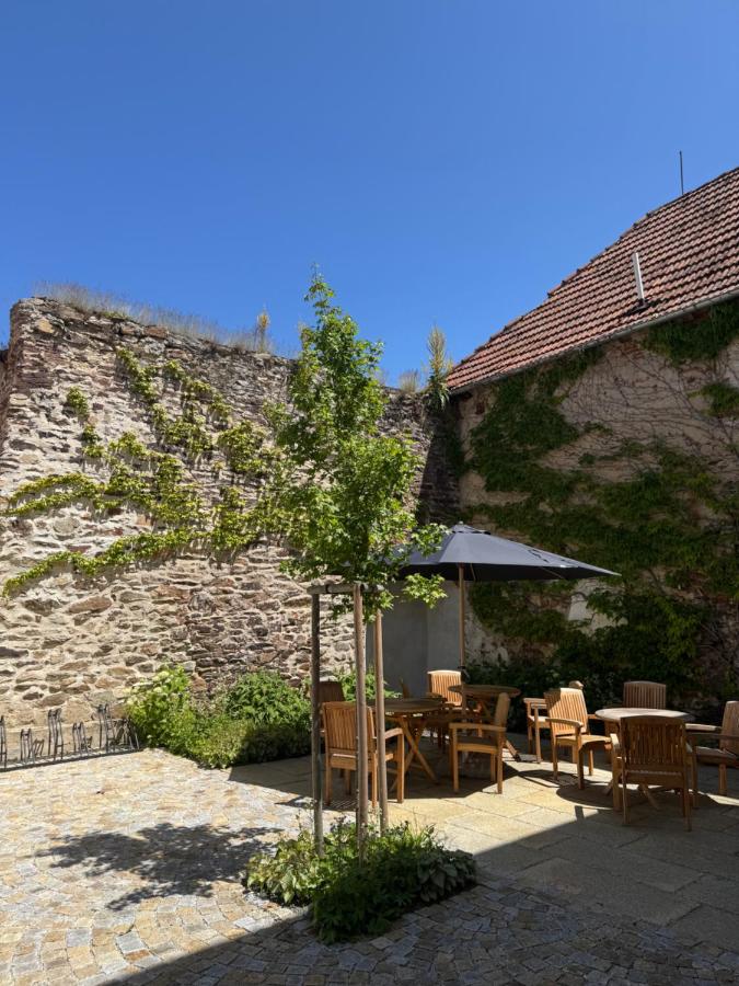 Apartmány U Devíti Lvů - B&B