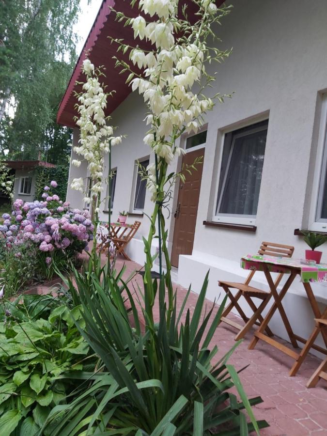 Leśne Zacisze - B&B