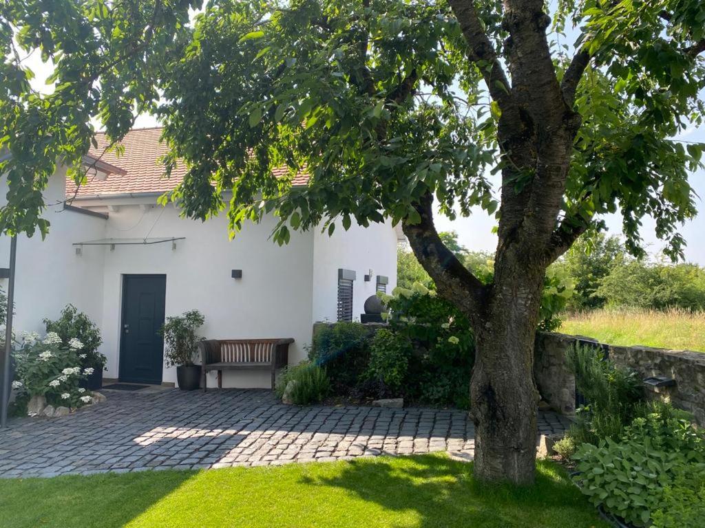Colle Divino - B&B Würzburg