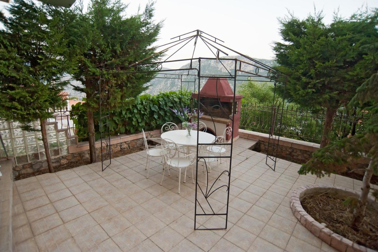 Apollon apartment Delphi - B&B Delfos