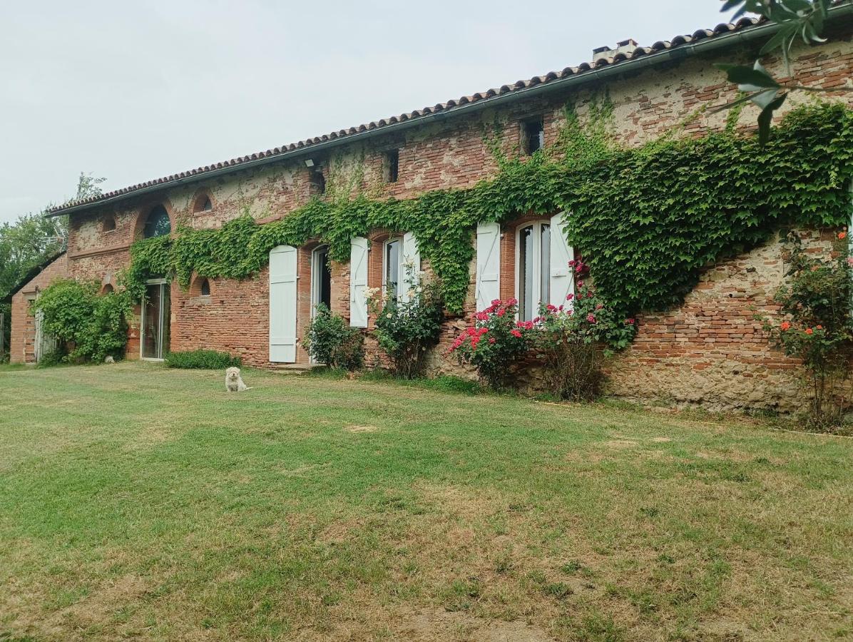 L'Eden des Pyrénées - B&B Lézat-sur-Lèze
