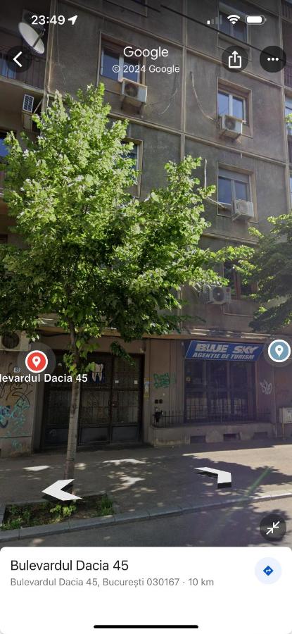 Studio Jungle breath - City centre - B&B Bucarest