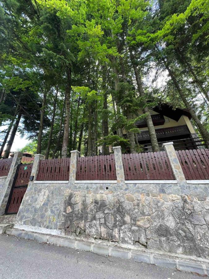 Eagle Nest - B&B Sinaia