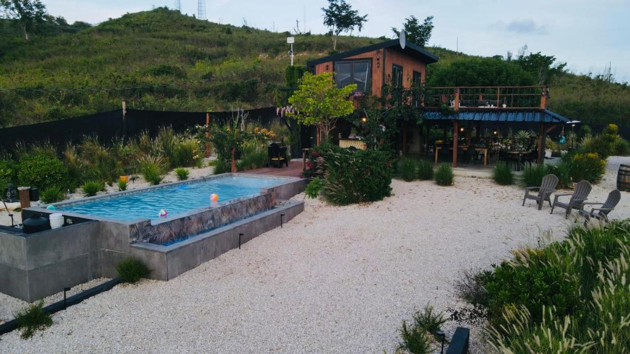 Pampagrass View - B&B