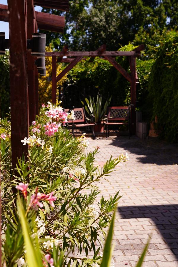 L-House Štúrovo - B&B