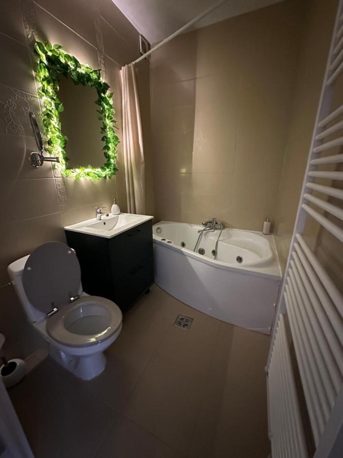 Peaceful Central Nook - B&B Cluj-Napoca