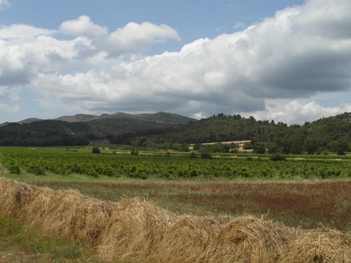 Bergerie Du Plo - Chambres d’hôtes Montlaur