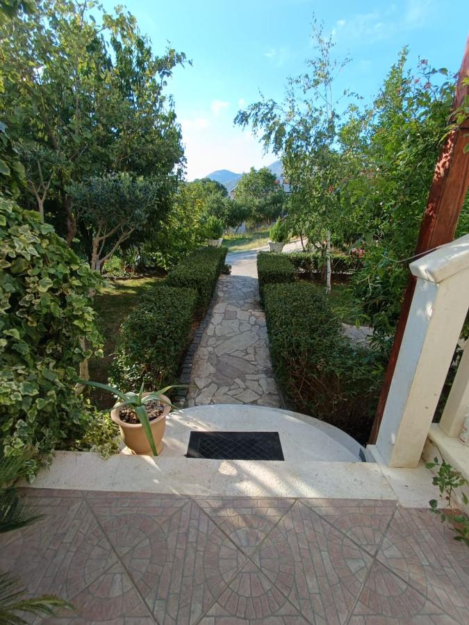 Villa Maslina - B&B