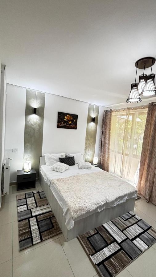 M Luxury Apartment - Bed and Breakfast Timişoara