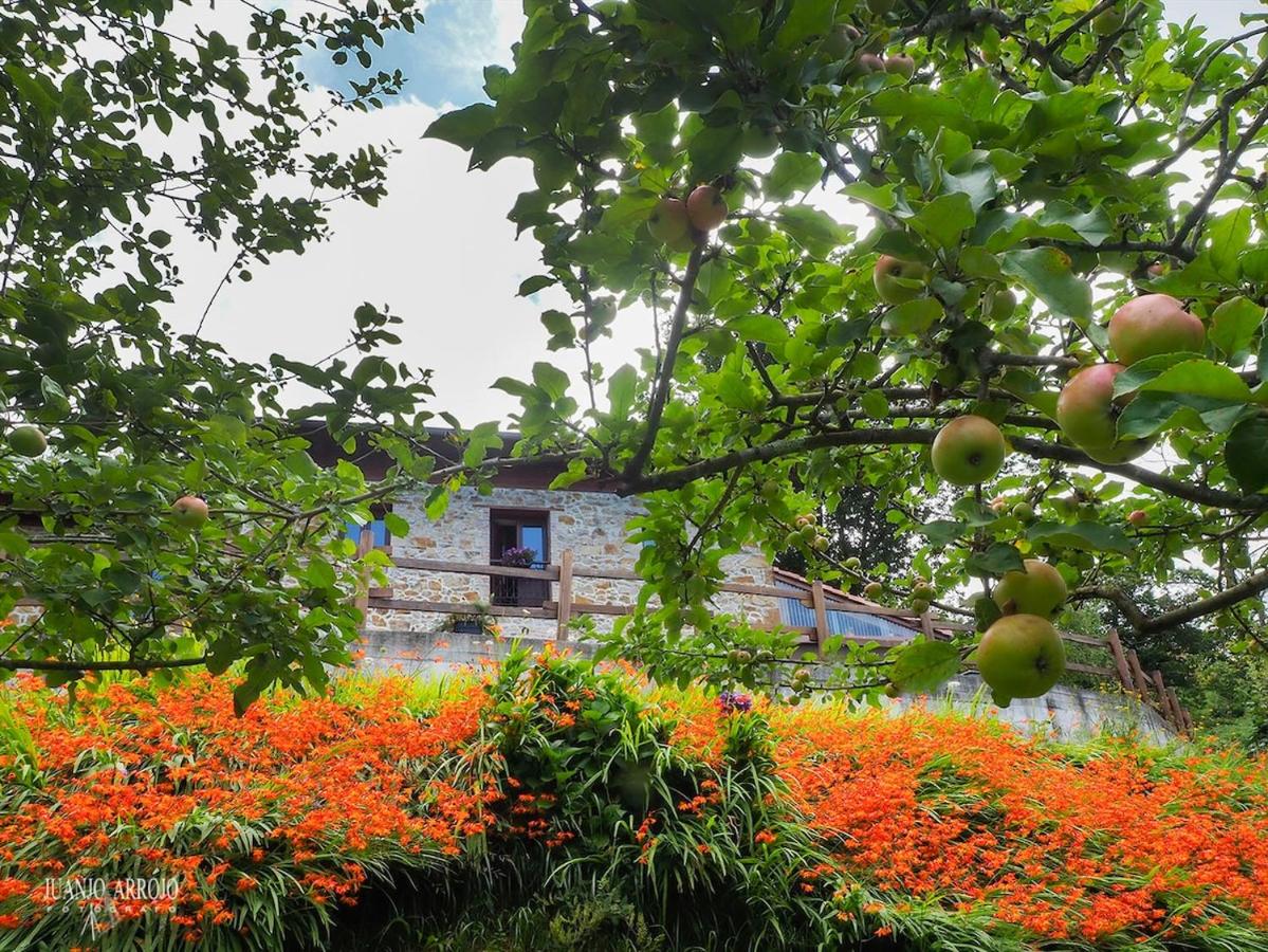 La Curuxa - Bed and Breakfast Santa Rosa