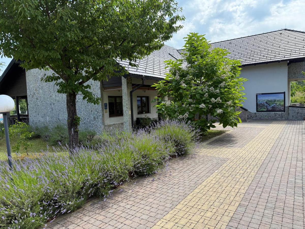 Villa Stone - B&B