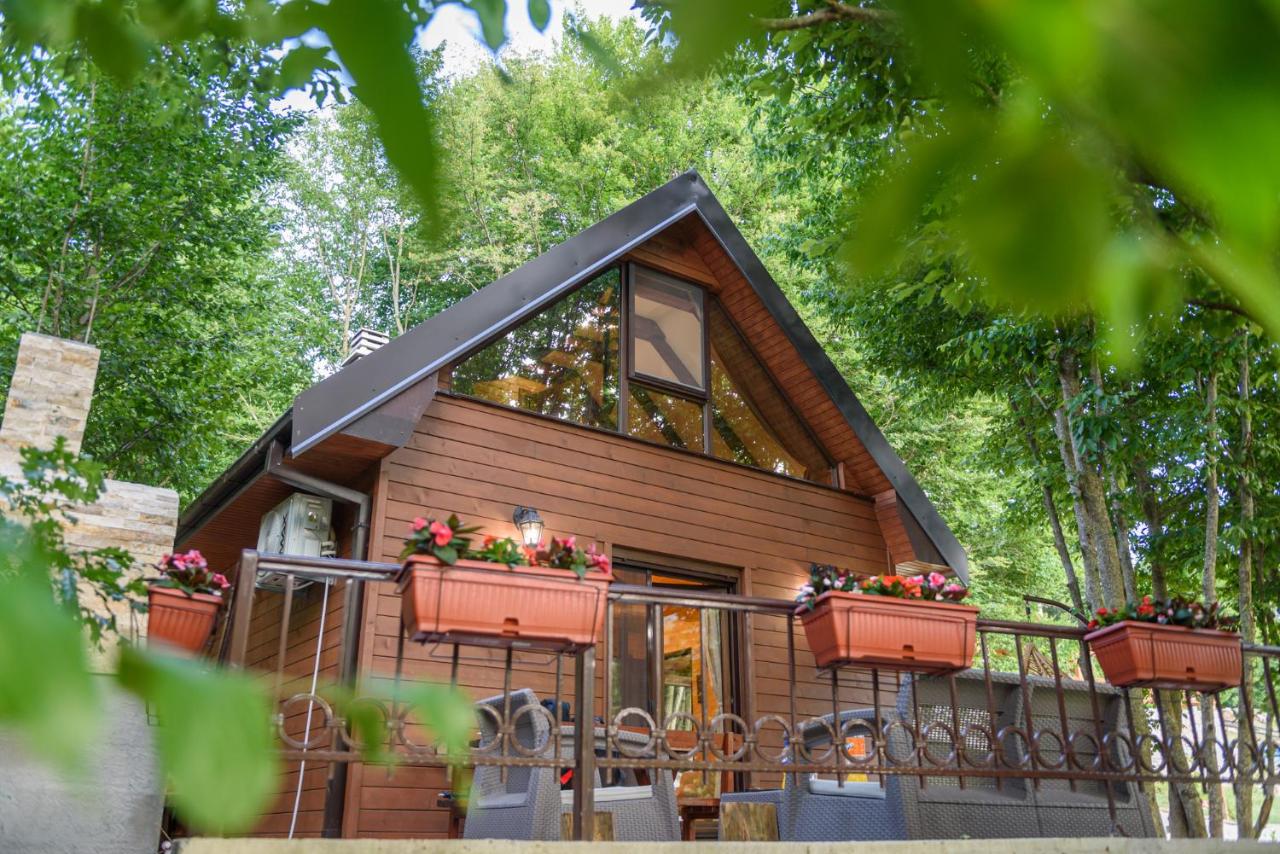 Mountain harmony Lovćen - Bed and Breakfast Cetinje