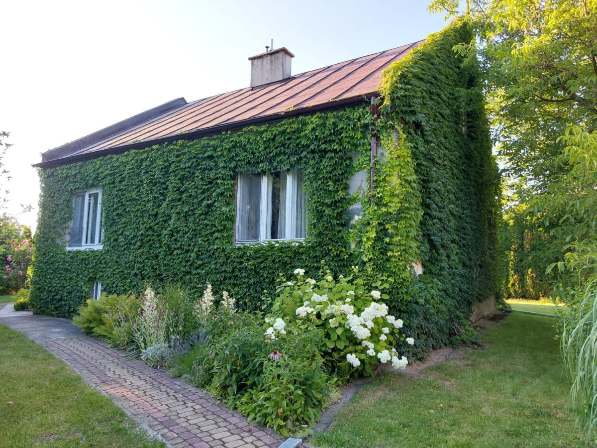Dom 10km od granicy Budomierz - B&B Lisie Jamy