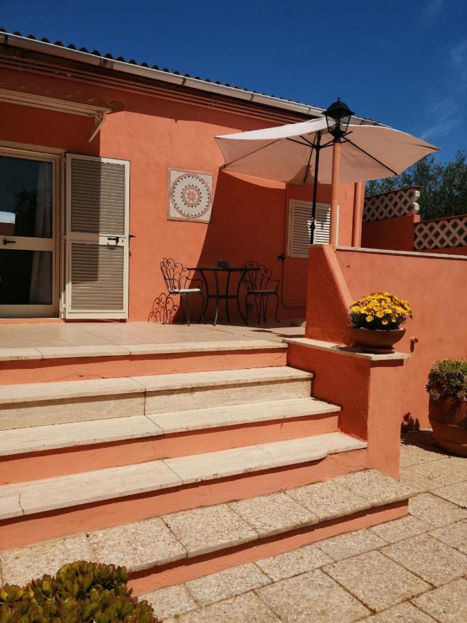 Studio with Terrace