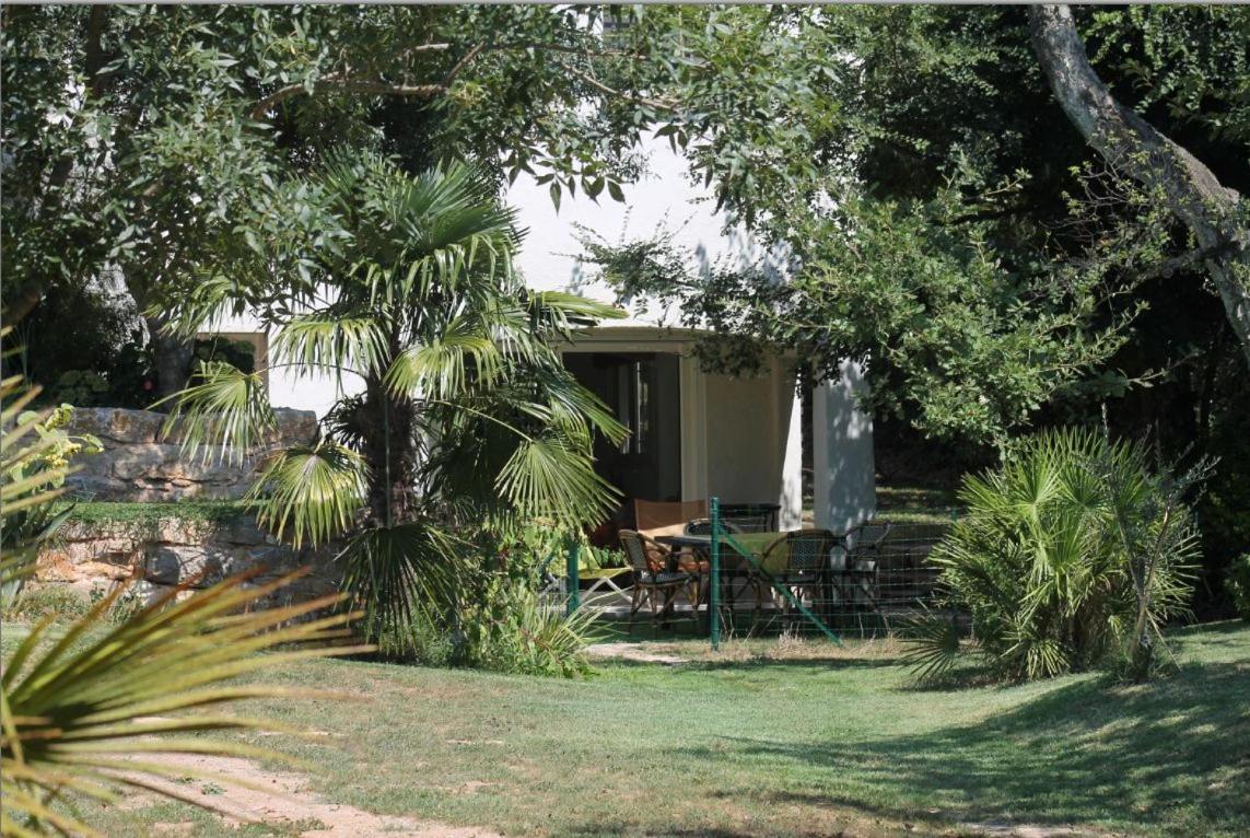 Flat with Garden in Charming Villa fully renovated - B&B Fréjus