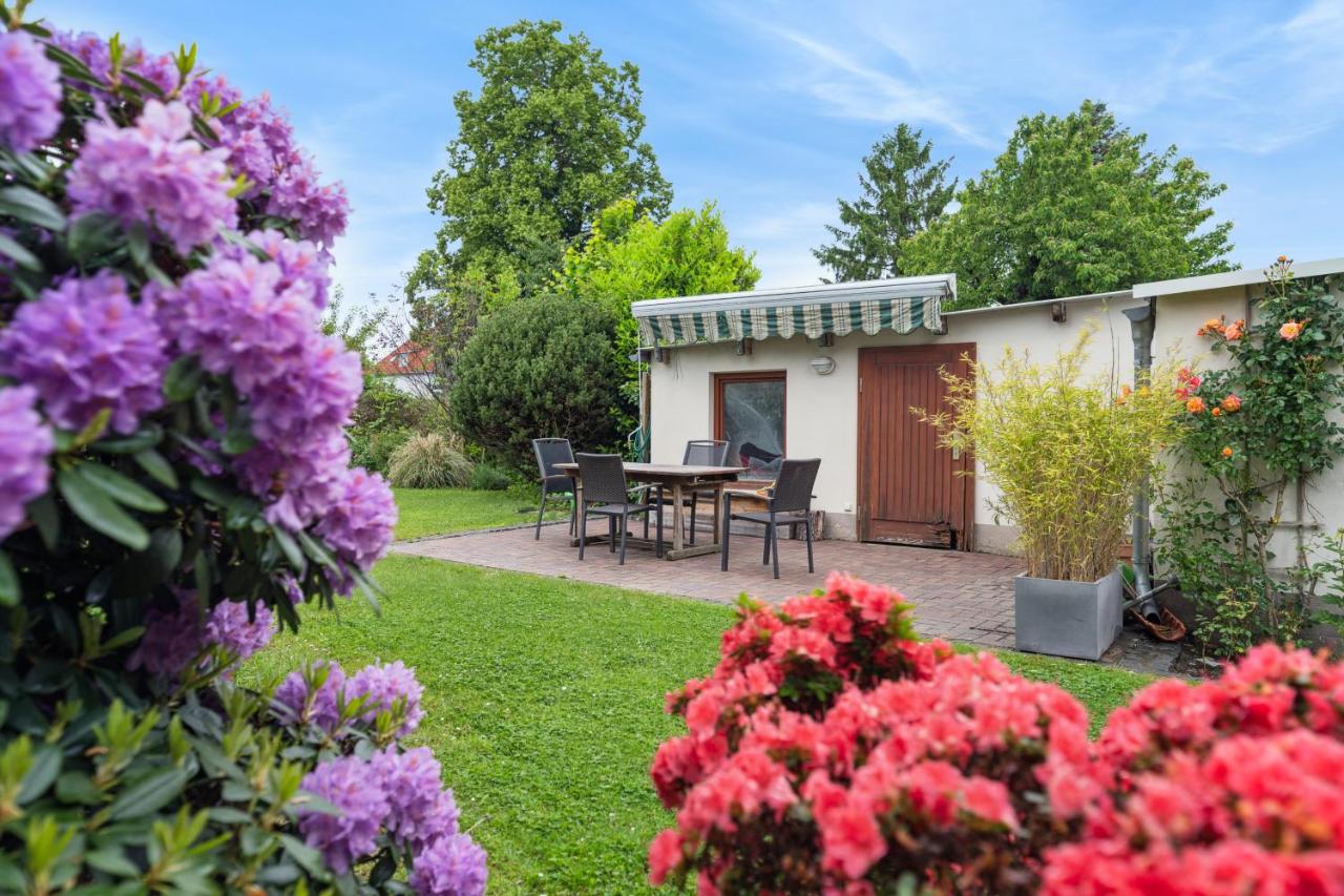 Helles & Charmantes 2-Zimmer-Dachrefugium - Chambres d’hôtes Cottbus