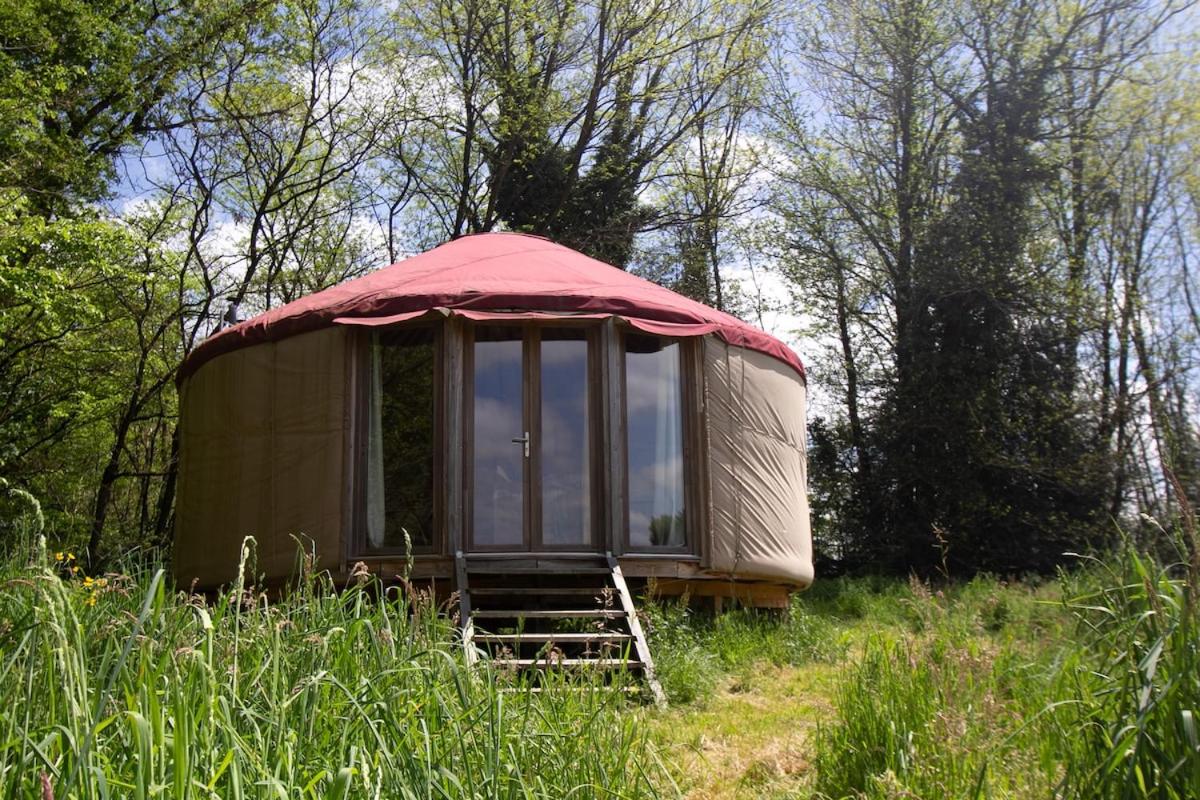 Yourte en Corrèze - La Main Sauvage - B&B Salon-la-Tour