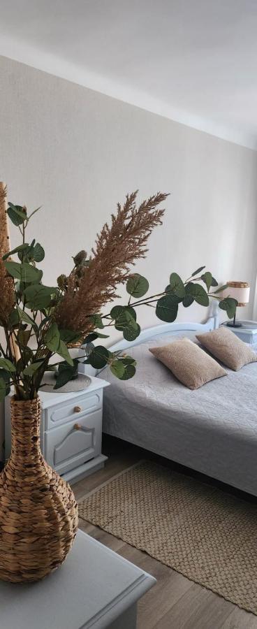 Elkonu street apartment - B&B