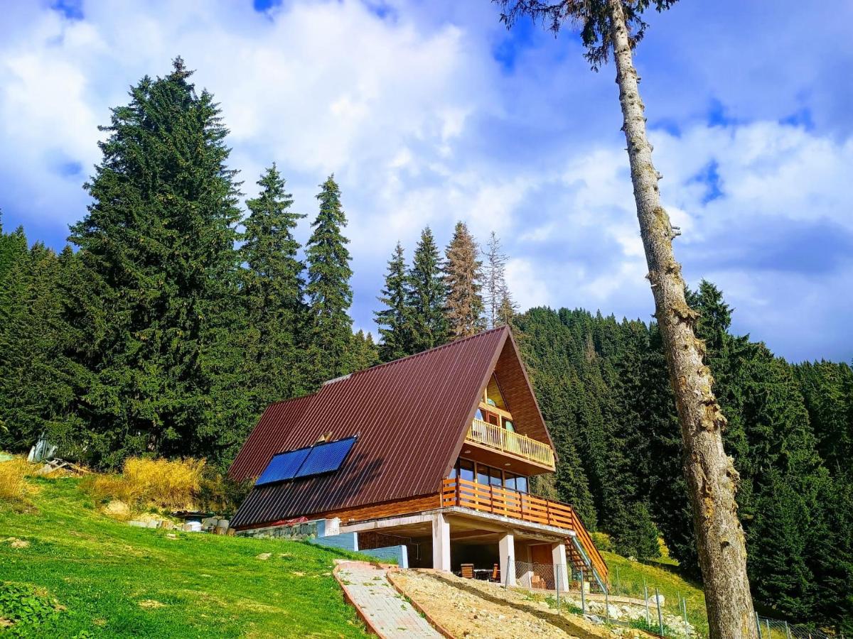 Cabana Vederea Sfinxului Padina - B&B