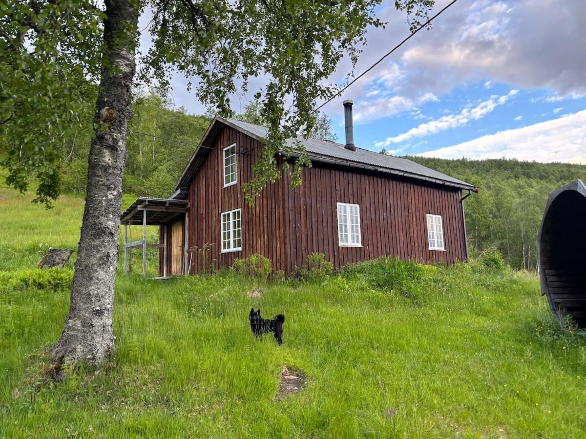 Cozy 1850s timber cabin and sauna with amazing view - B&B