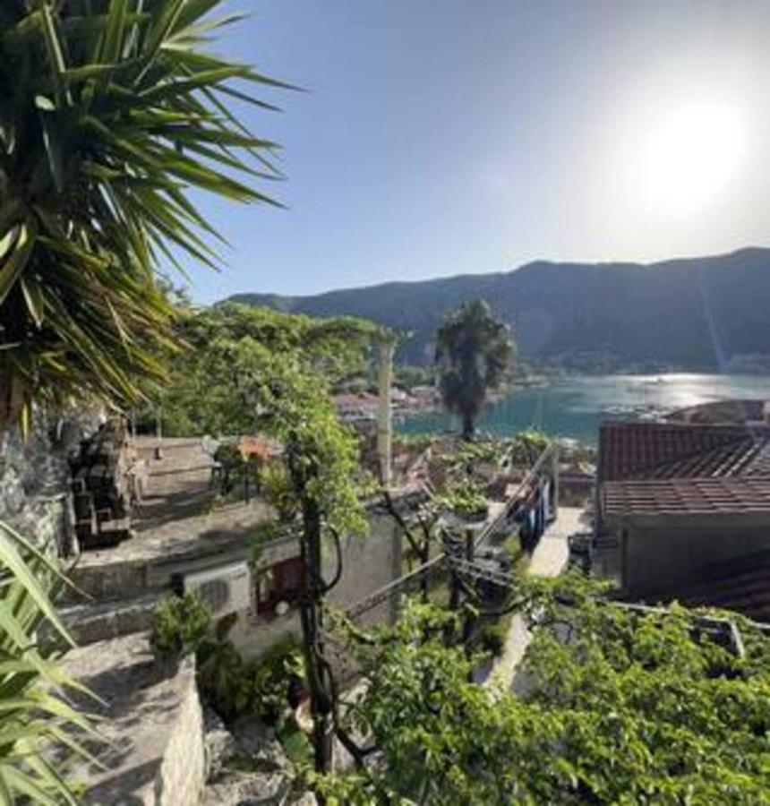 Panoramic view ! Rooftop garden - Old Town studio - B&B Cattaro