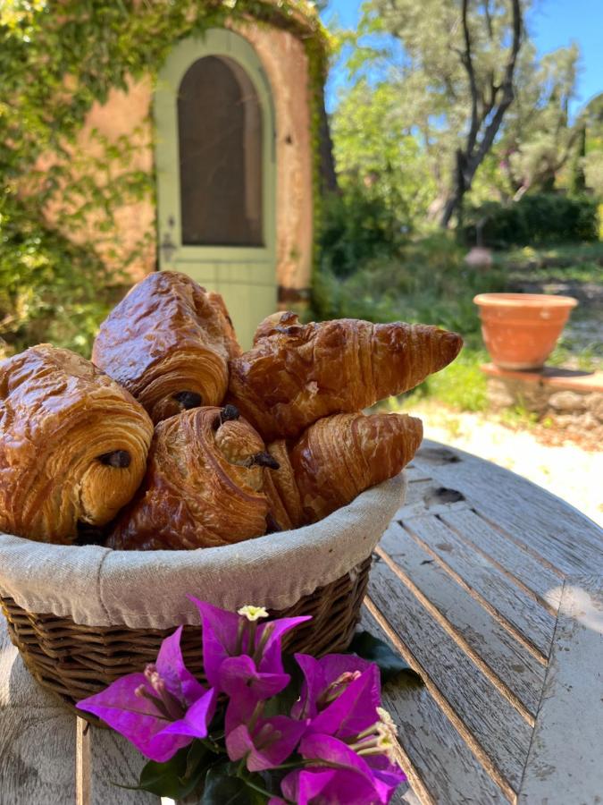 Villa Magdala Arts & Résidence - B&B Hyères