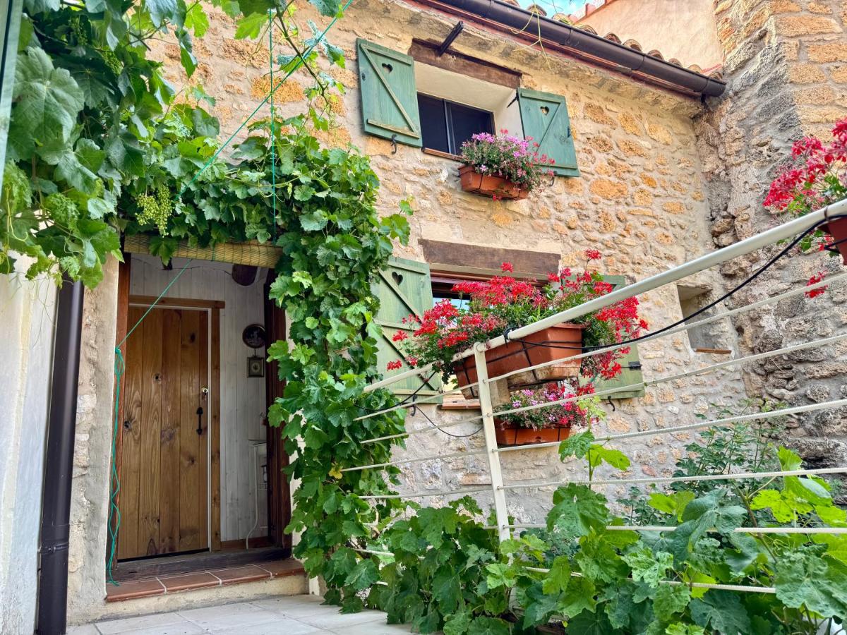 Suite with Garden View