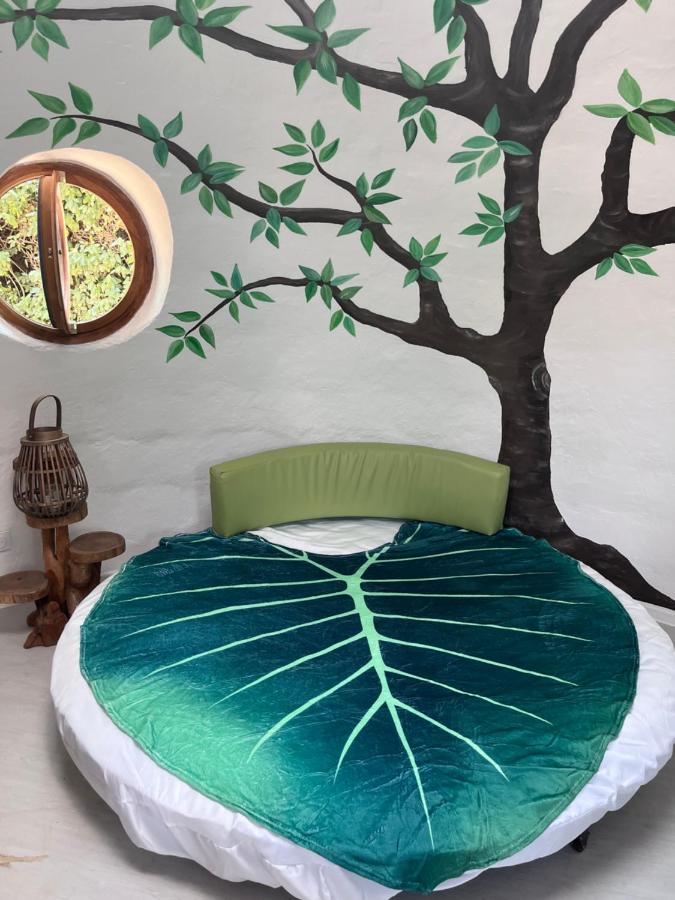 Nuit insolite - B&B