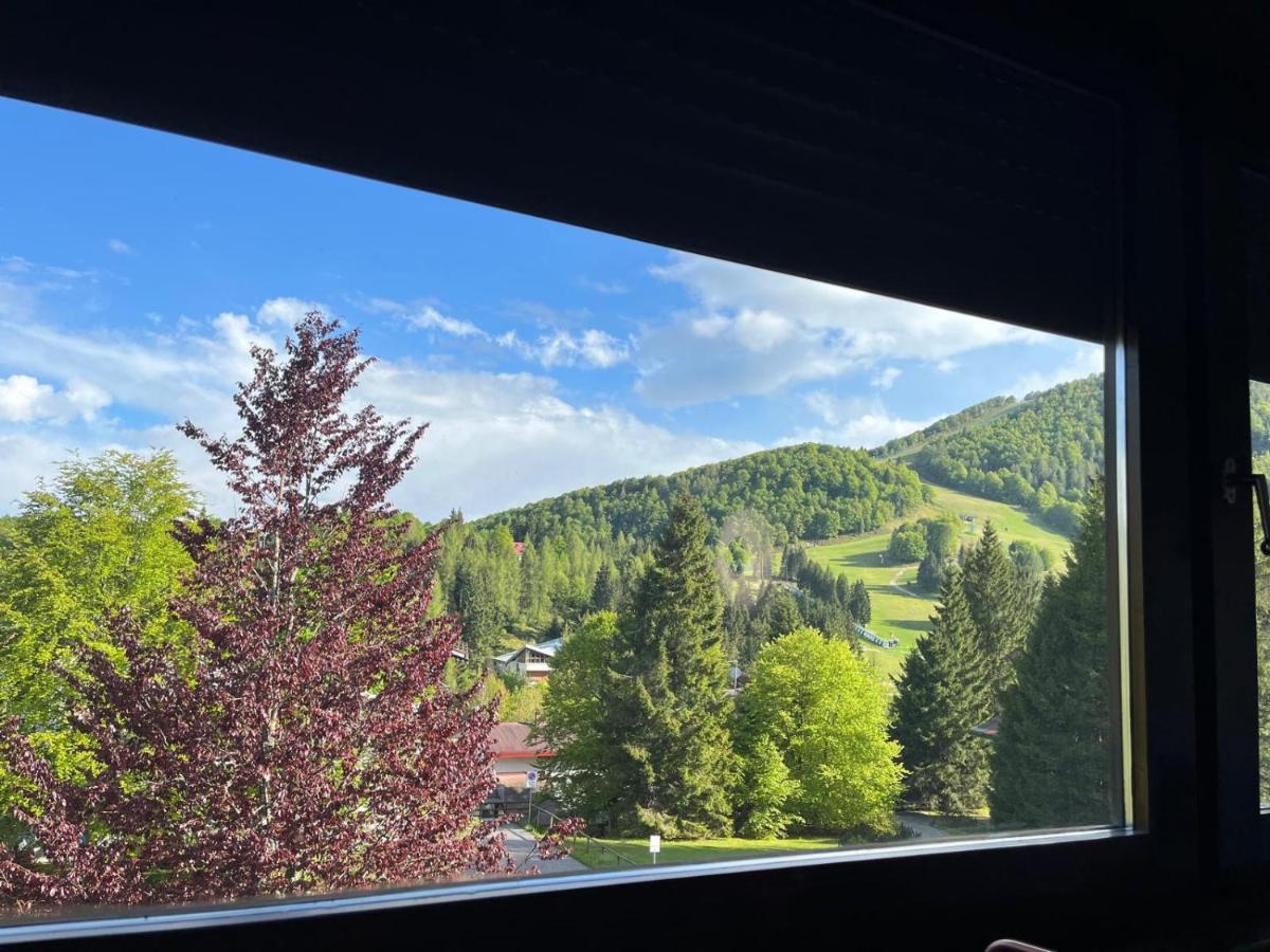 Piancavallo Loft - Garage & View - B&B