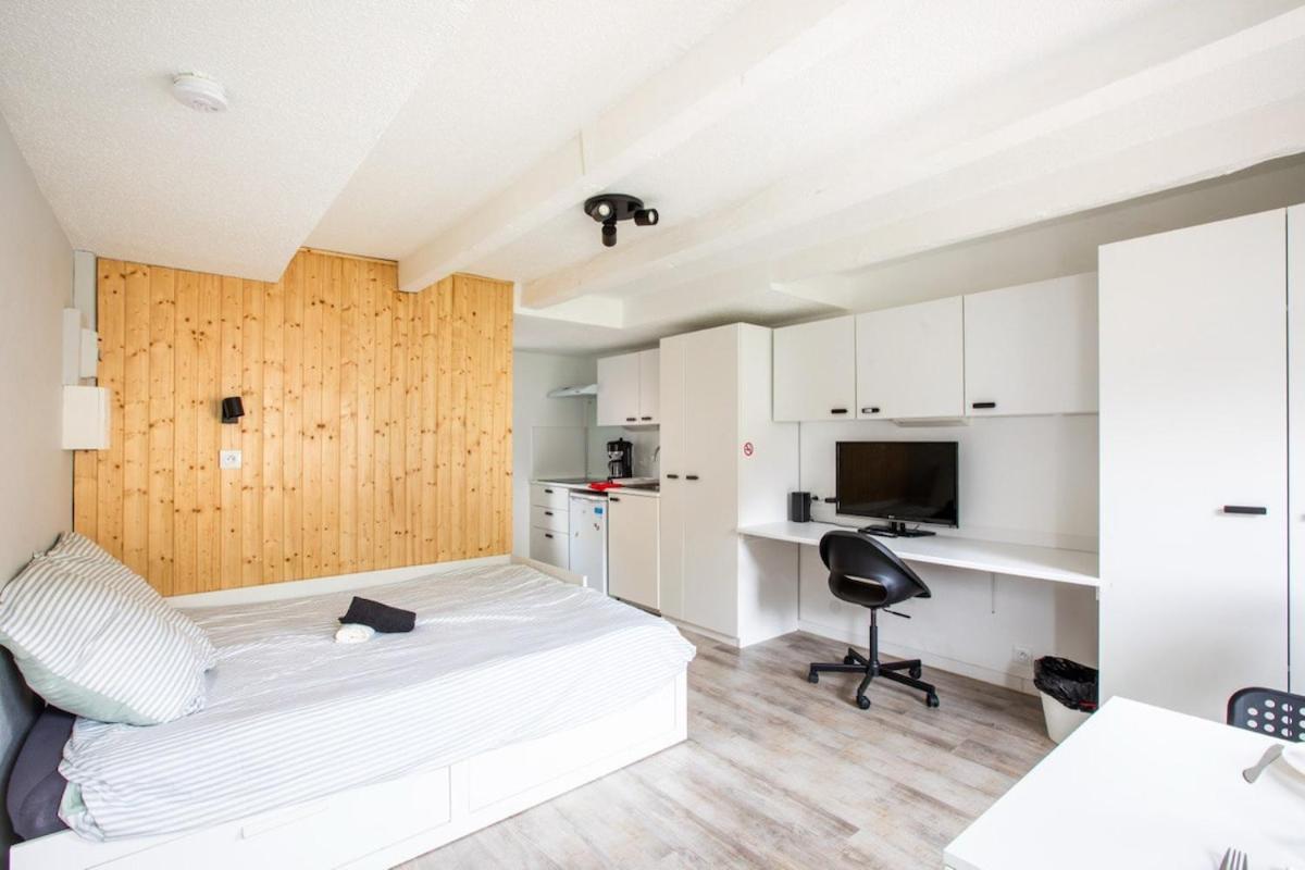 DeLuxe Studio Lumineux et Rénové, Parking Gratuit, MULHOUSE CENTRE - B&B