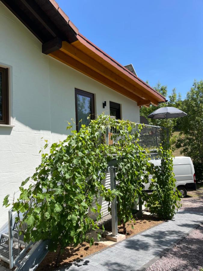 HirschRaum - B&B