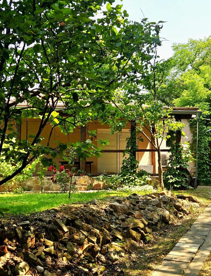 Green Haven Retreat - Nature's peace just for you - Chambres d’hôtes Rakovac
