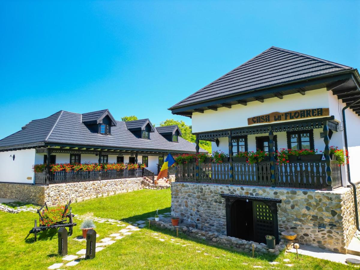 Curtea Taraneasca - B&B Măldăreşti