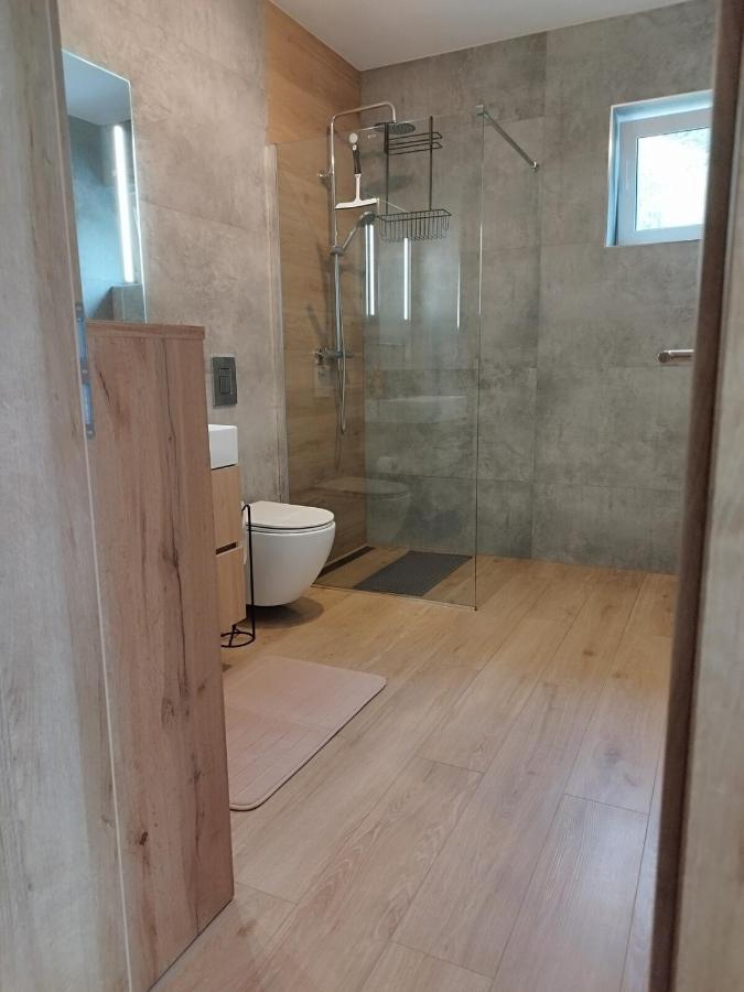 Brezovina Apartman 102 - Bed and Breakfast Oravské Veselé