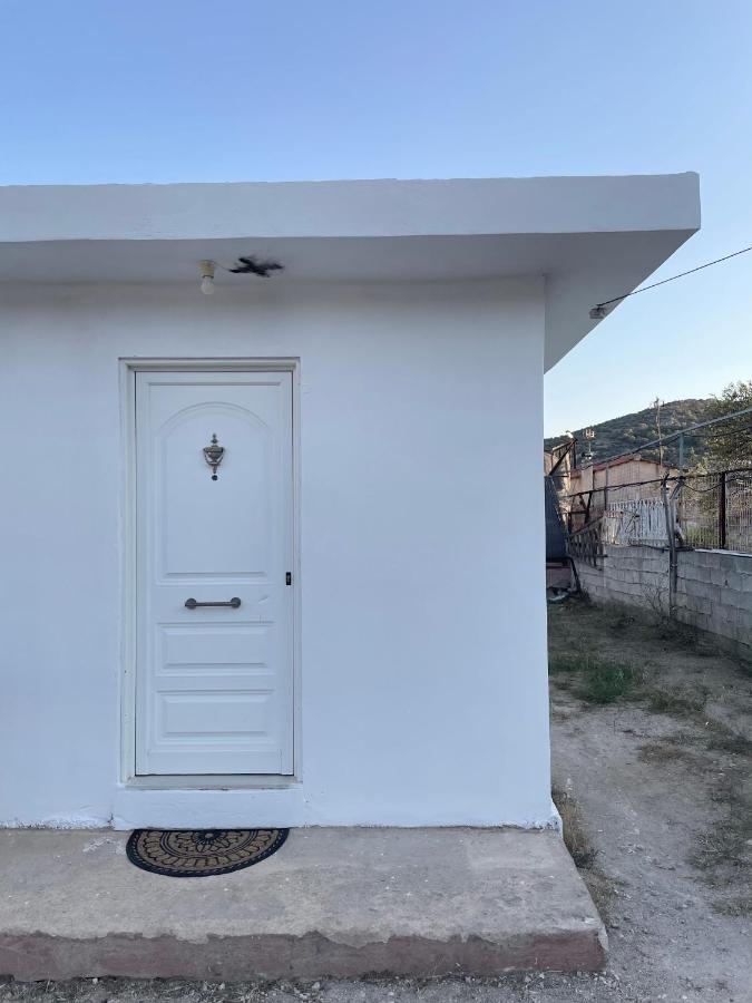 House near the sea - B&B