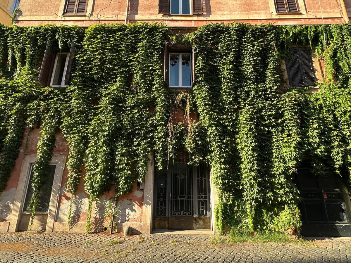 Bruno Domus Trastevere - B&B Rome