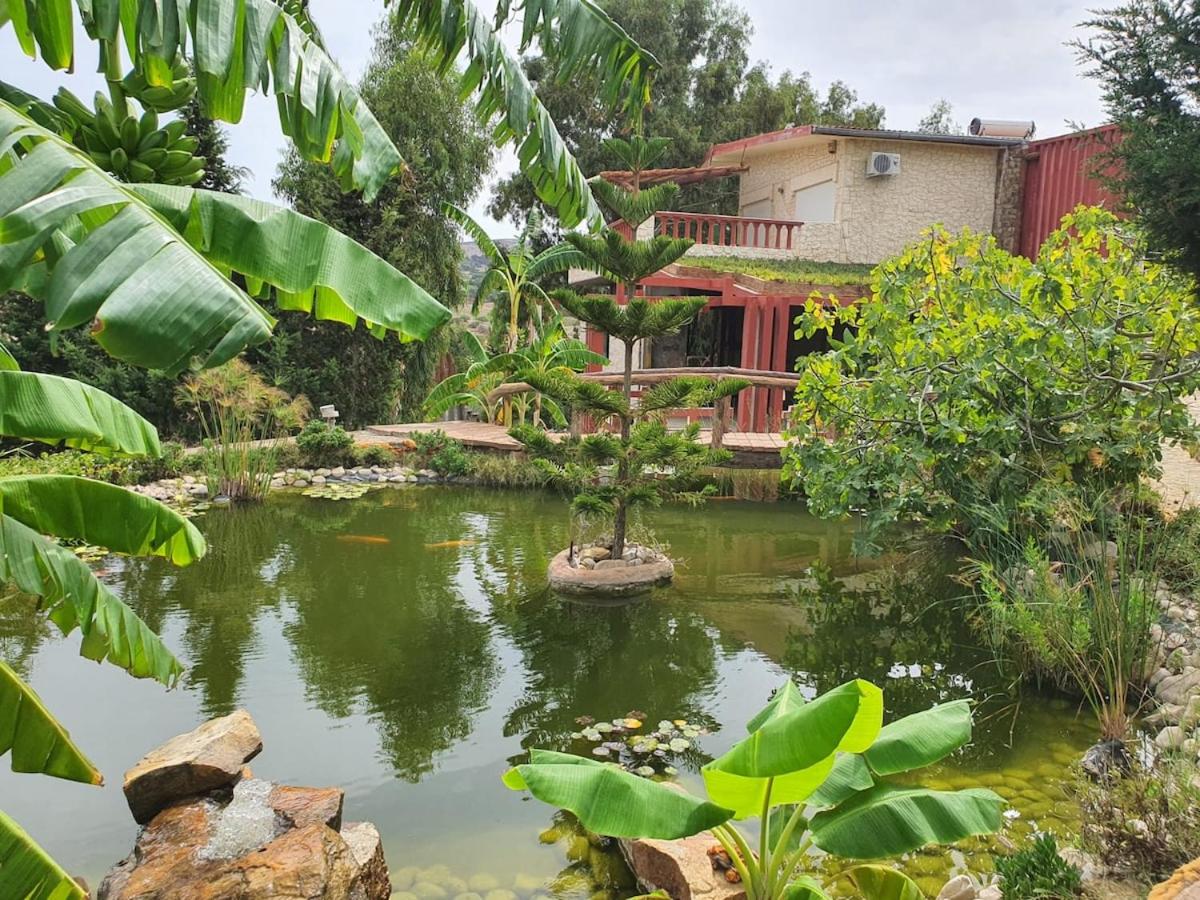 Ain Damous Farmhouse - B&B
