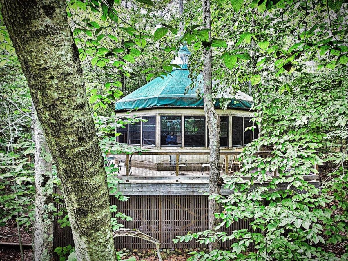 Escape to Tree House Island Life - B&B