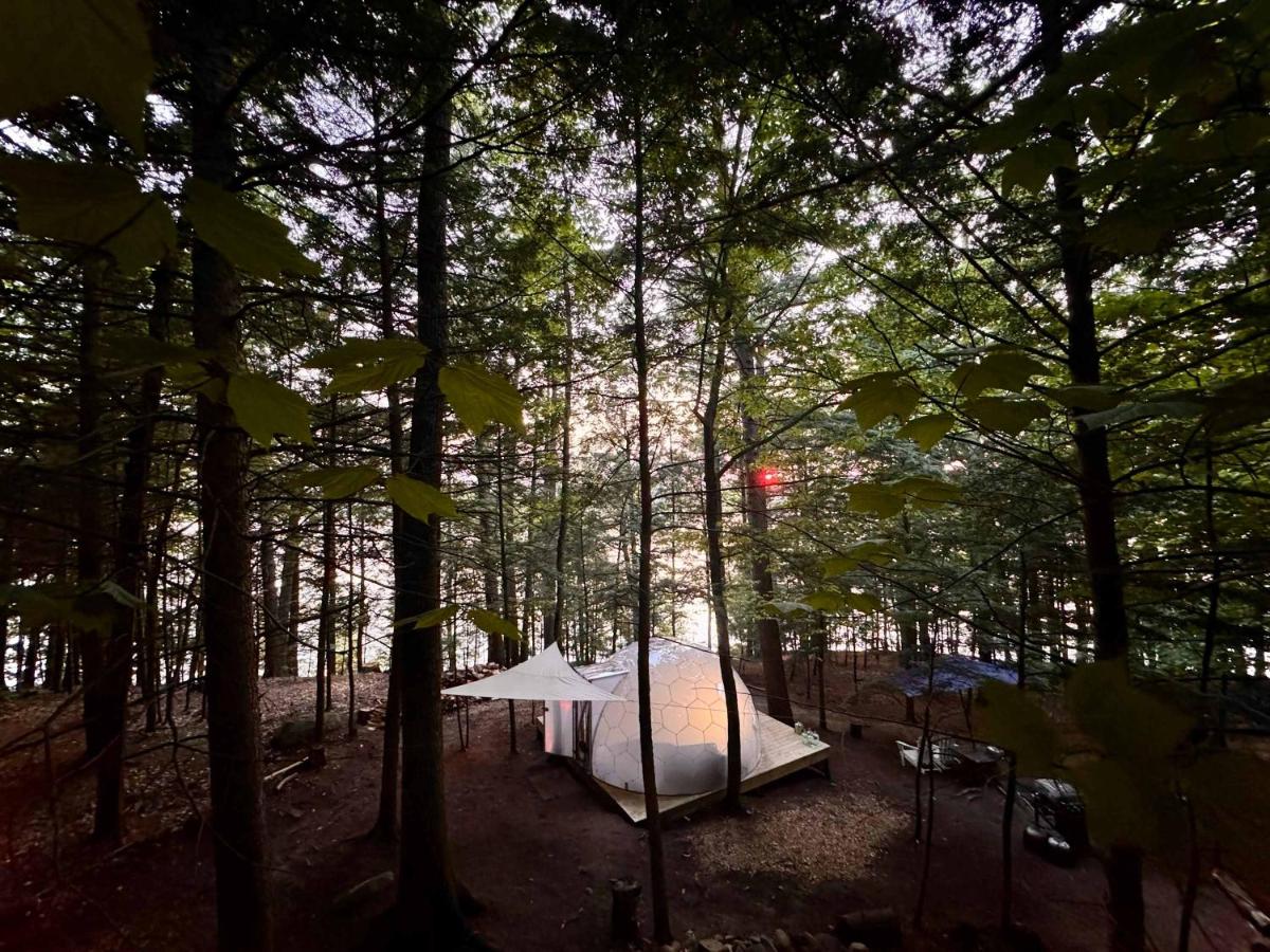 Hammock Haven Island Dome - Bed and Breakfast Monmouth